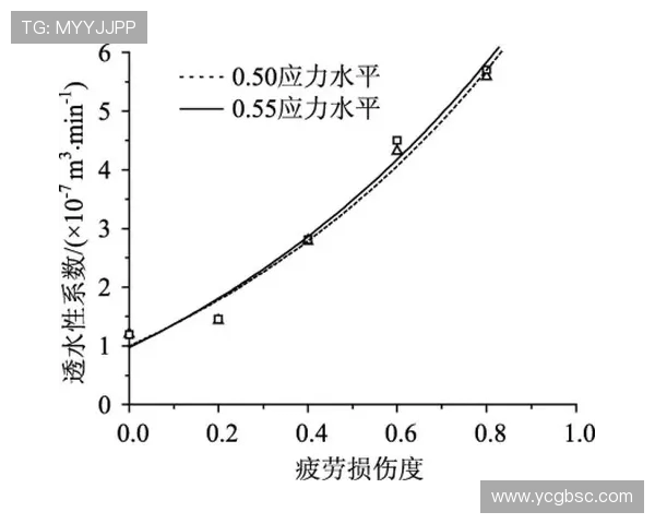 北京排球队边路渗透革新探讨与战术演变分析