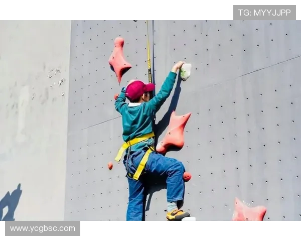 南京攀岩队与武汉攀岩队赛后复盘分析及比赛节奏对比探讨