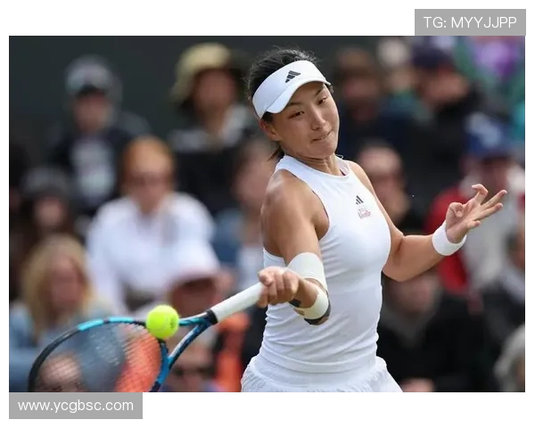 杭州网球队荣登网球速度排行榜第一名展现卓越实力与激情