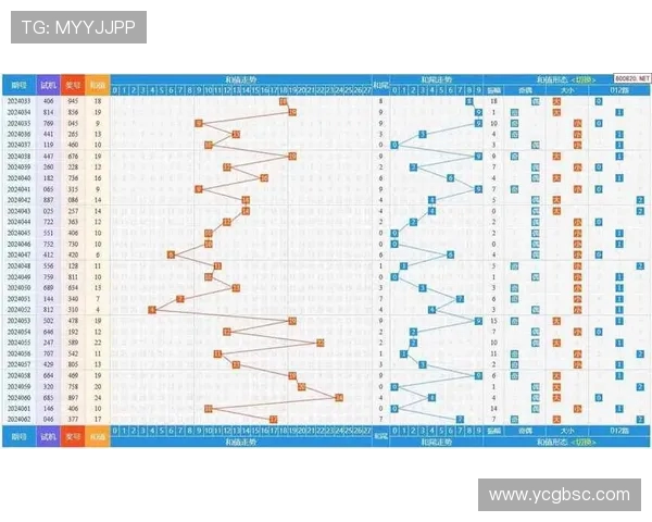 重庆排球队在联合会杯中的耐力表现分析与点评