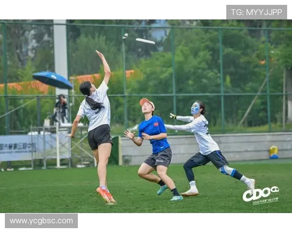 飞盘战术揭秘成都飞盘队如何利用边路渗透实现进攻优势